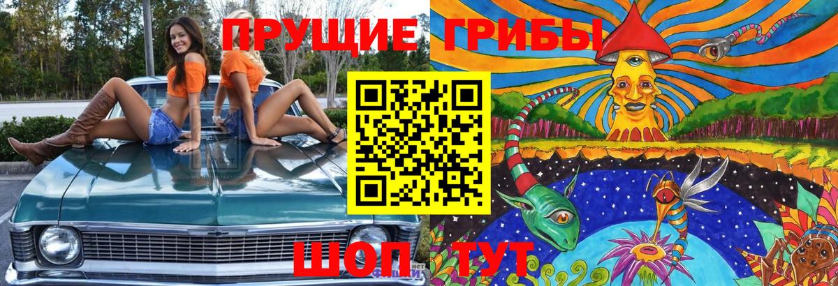 Псилоцибиновые грибы Magic Shrooms Тула